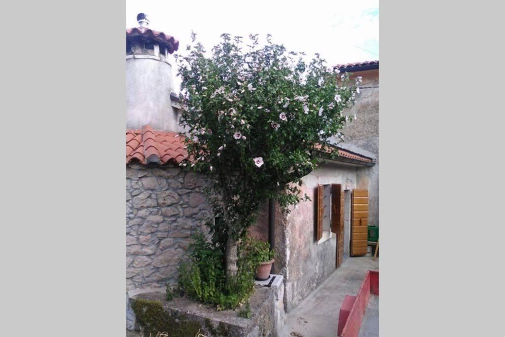Vacation Home Marinici Mošćenička Draga Εξωτερικό φωτογραφία